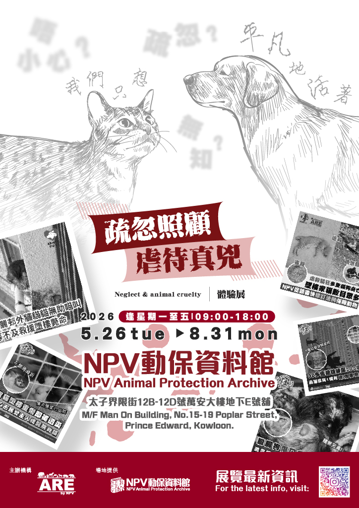 Digital banner and poster_724x1024